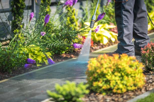 Best Patio and Deck Pressure Washing  in Port Washington North, NY