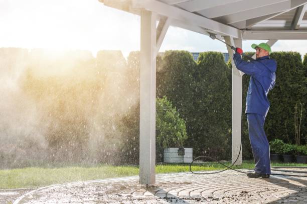 Best House Exterior Washing  in Port Washington North, NY