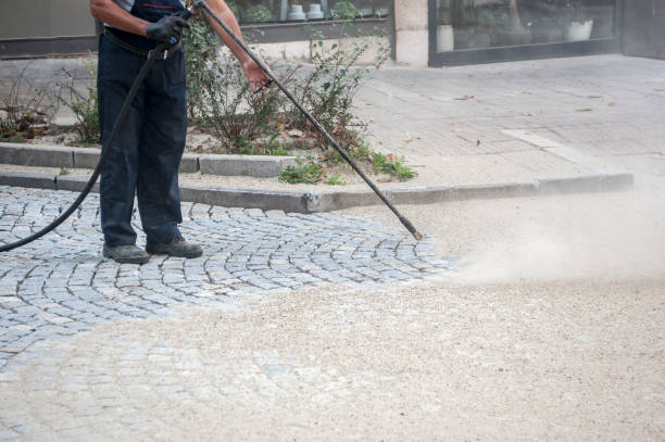 Best Dumpster Area Cleaning  in Port Washington North, NY